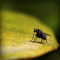 /album/nutnipere1971/photolia-a07-jpg/
